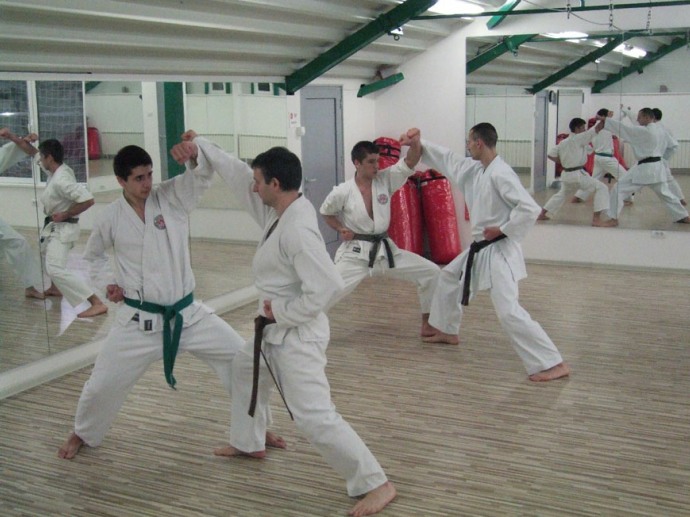 karate-1