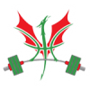 zarkovo-logo